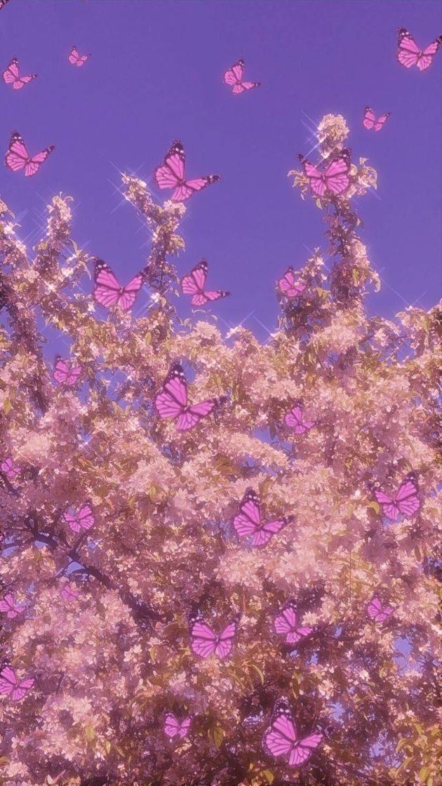 Social Wallpaper 