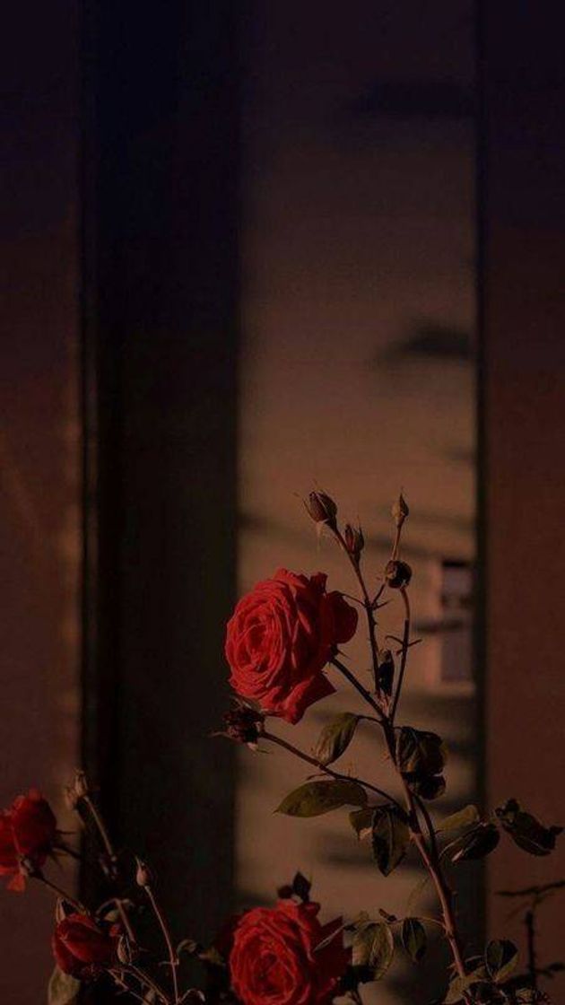Social WALLPAPER