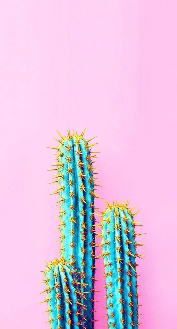 Social Wallpaper 