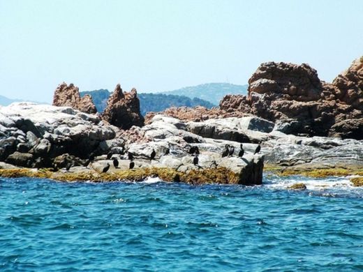 Islas Formigues