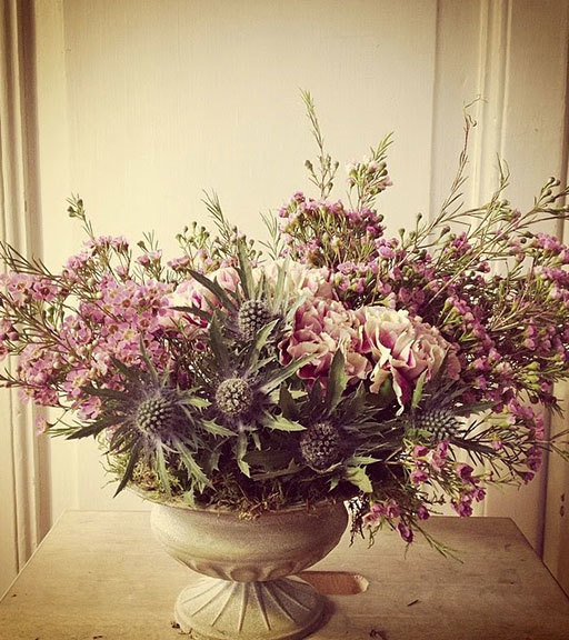 Social Brumalis: Floristeria madrid