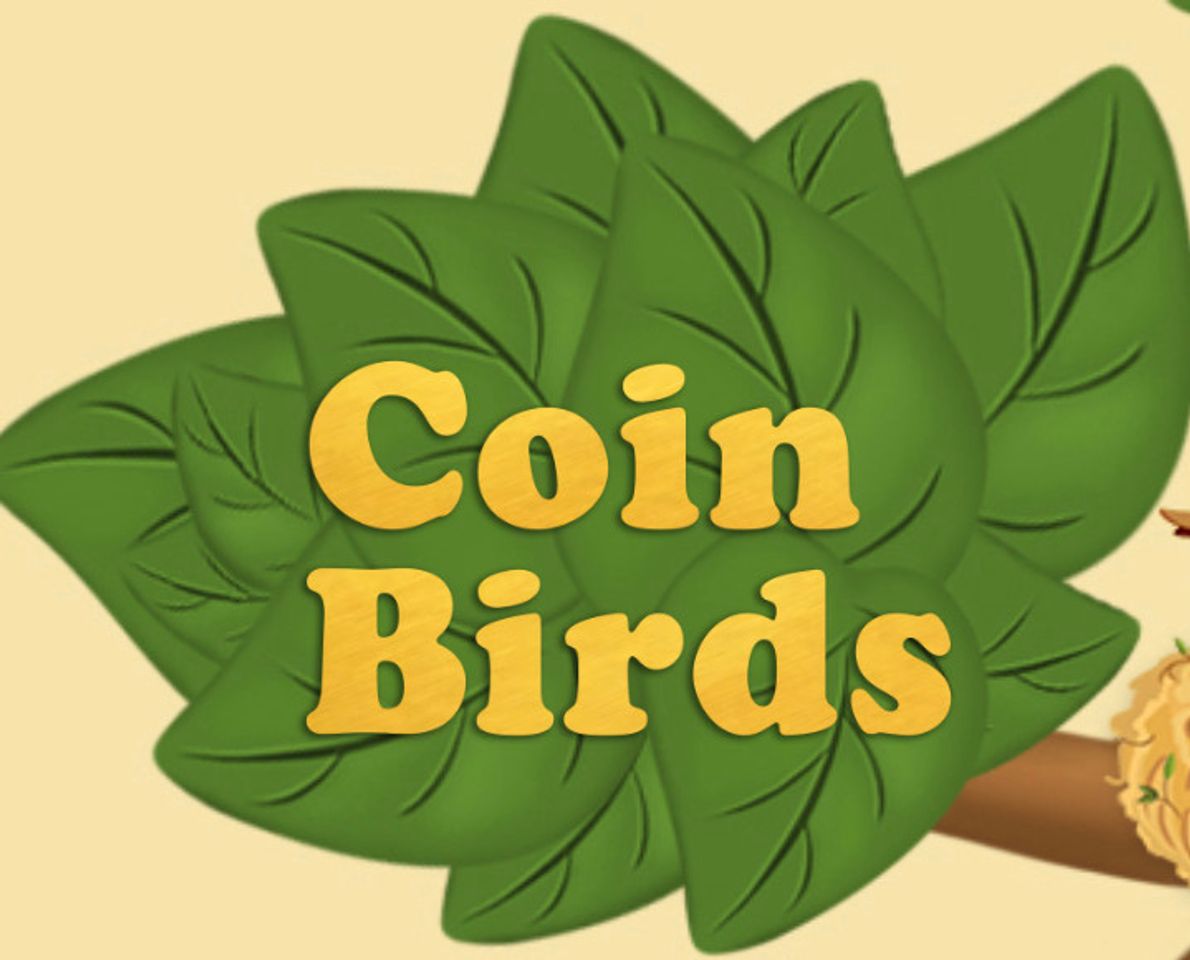 Social 💰 Coin Birds 🐦