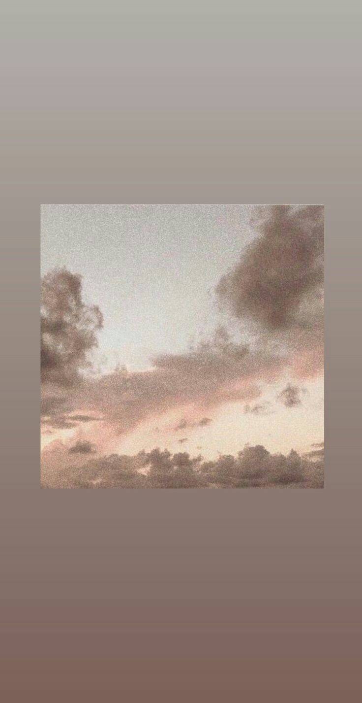 ✨
