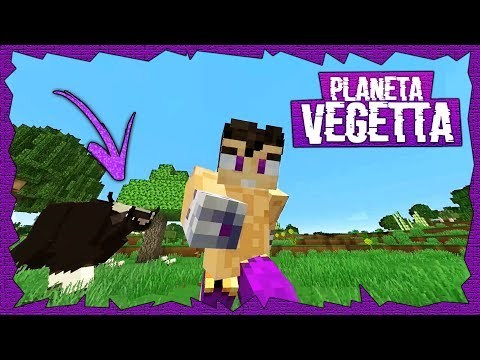 Moda PLANETA VEGETTA