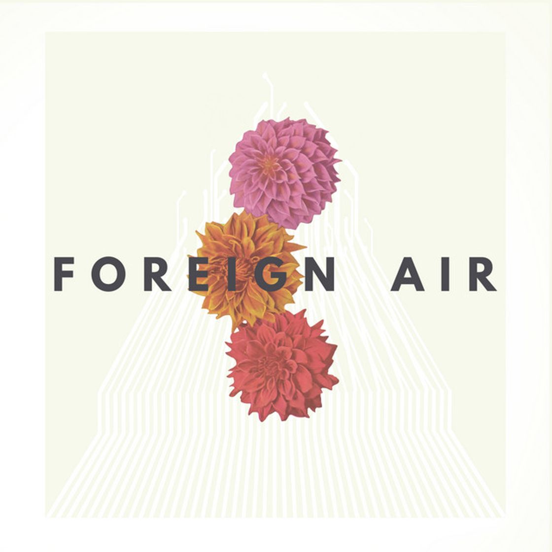 Music Free Animal