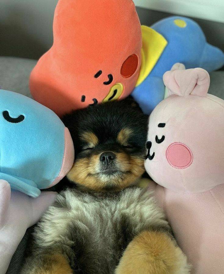 yeontan 💜