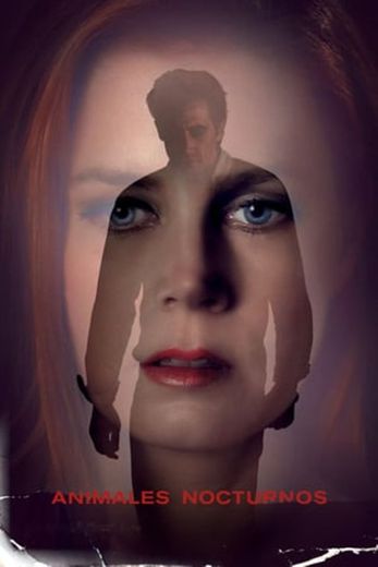 Nocturnal Animals