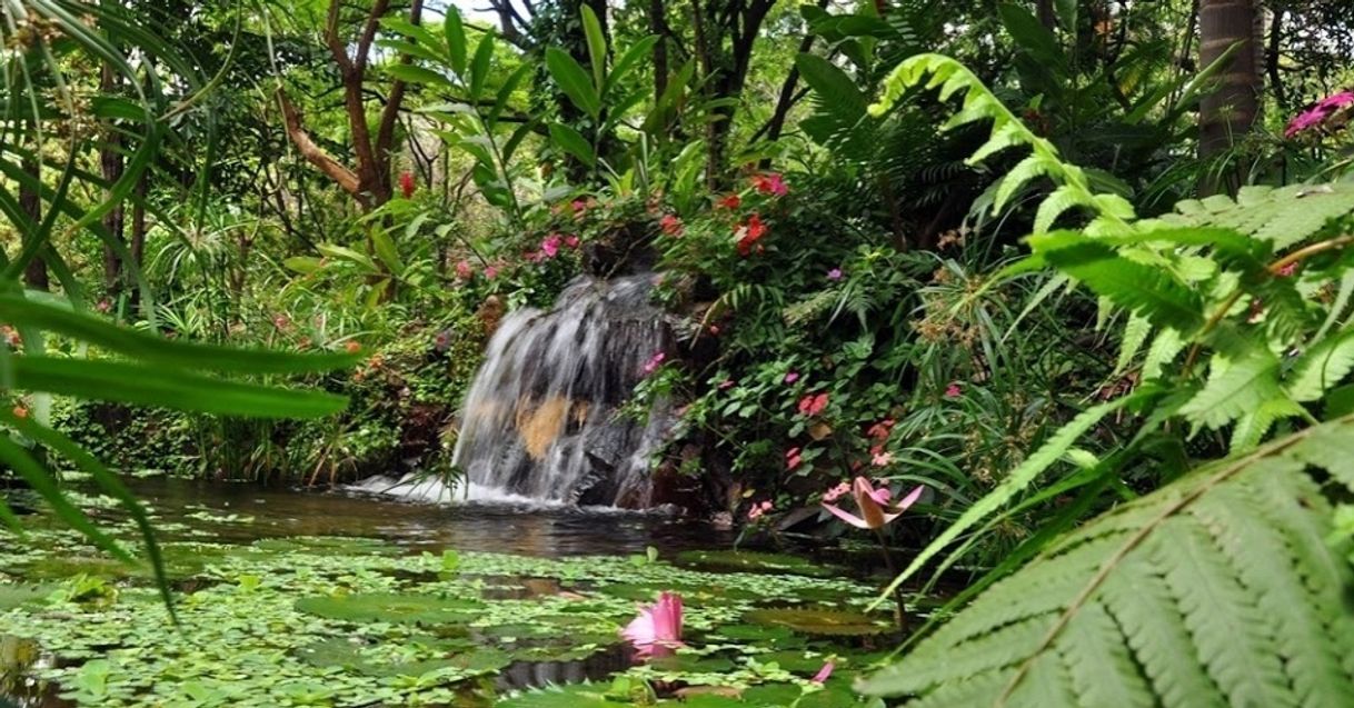Place Parque Municipal Américo Renné Giannetti