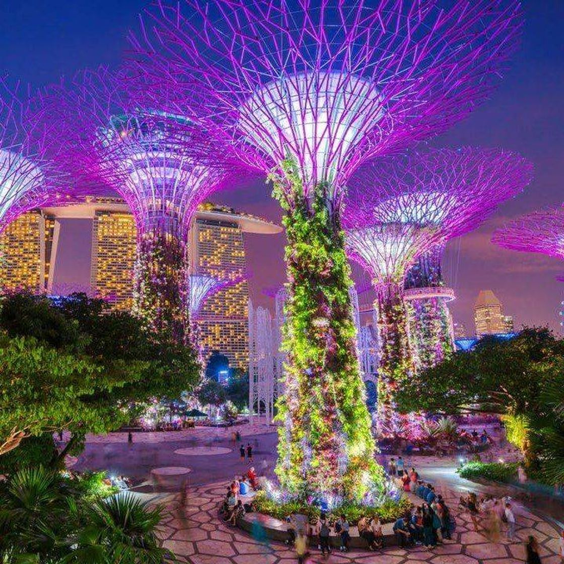 Place Singapur