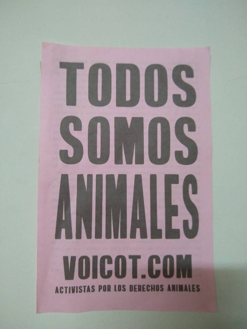 Moda Voicot | Derechos Animales