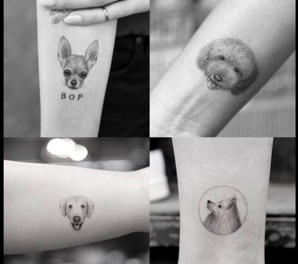 Fashion Tatuajes de mascotas