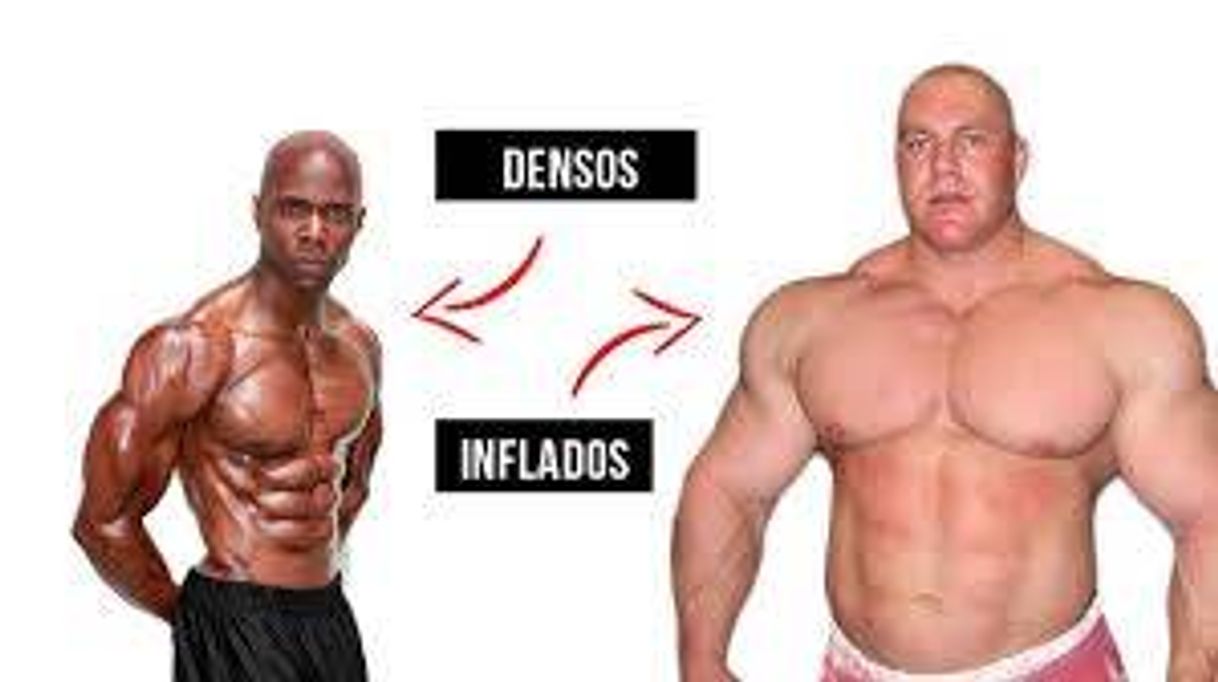 Moda TIPOS DE CRECIMENTO MUSCULAR 