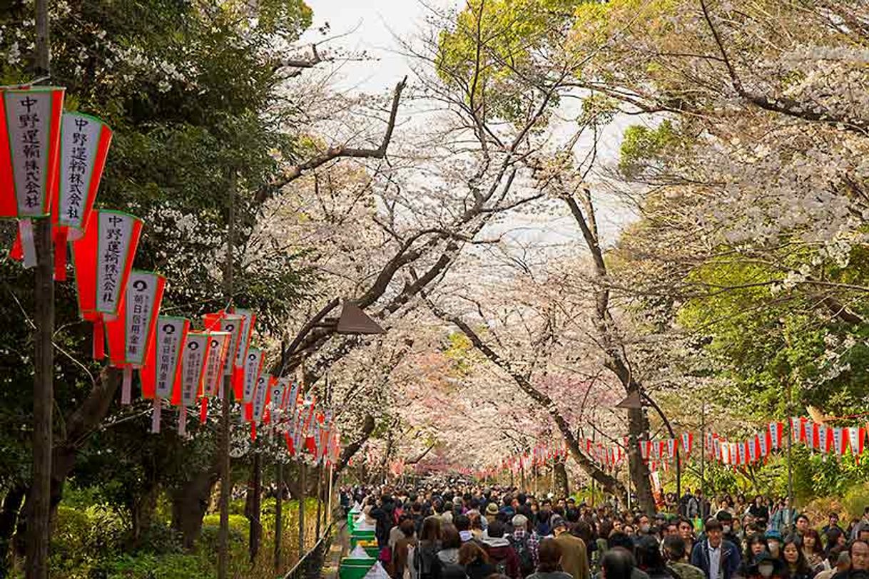 Lugar Ueno-Park