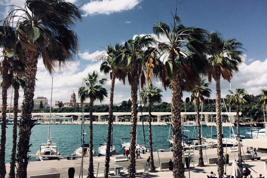 Place Puerto de Màlaga