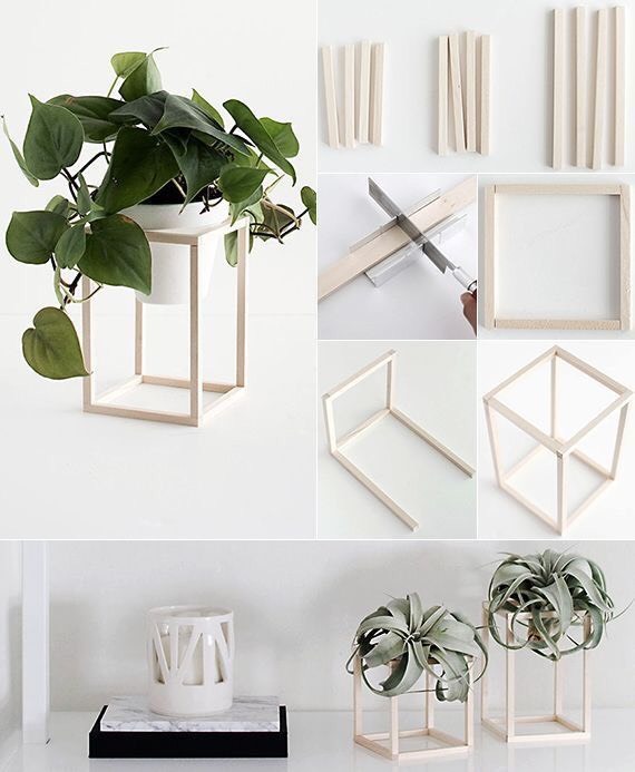 Social Suporte para flor