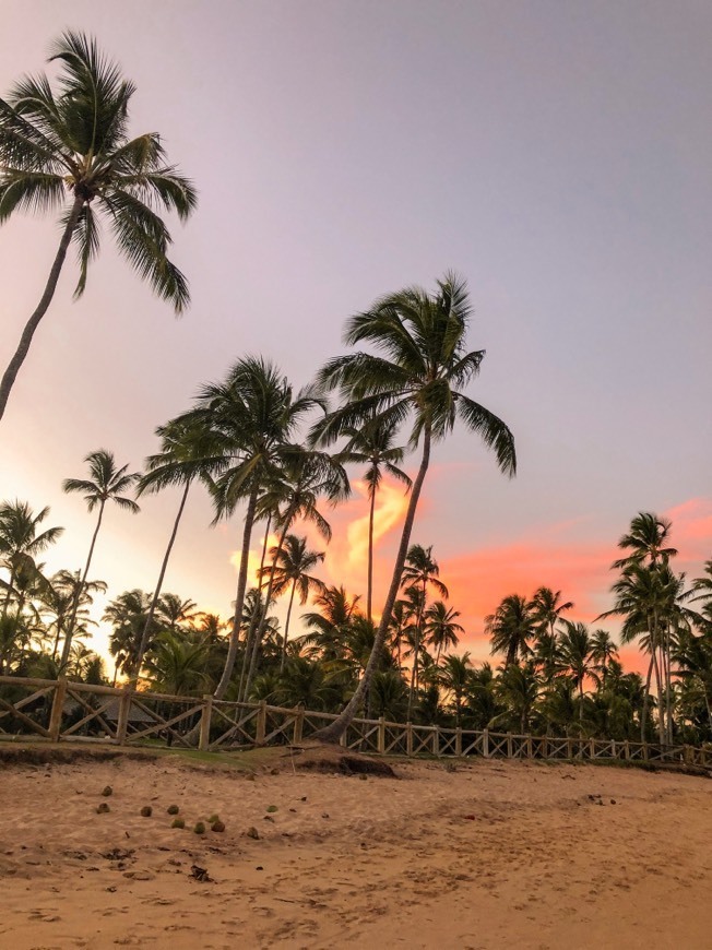 Place Praia Taipu de Fora