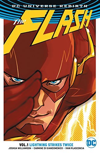 Libro Flash TP Vol 1