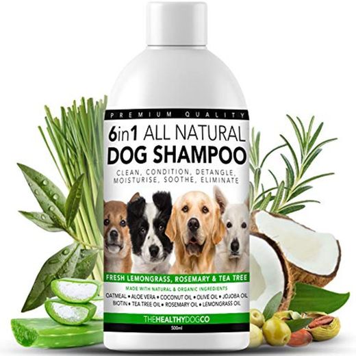 Champú para Perros 6 en 1 Completamente Natural