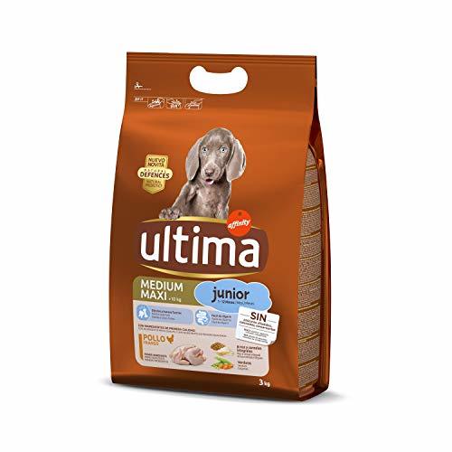 Lugares ultima Pienso para Perros Junior con Pollo y Arroz