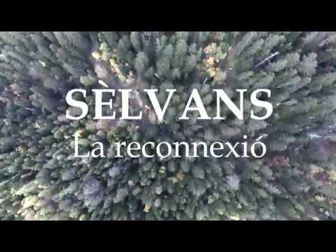 Fashion Associacio Selvans "SELVANS La Reconnexió" (2017) - YouTube