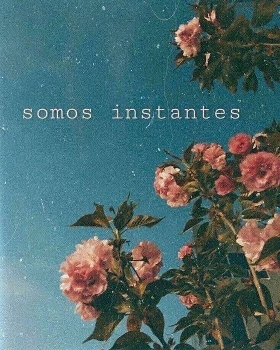 Social somos instantes 🌟