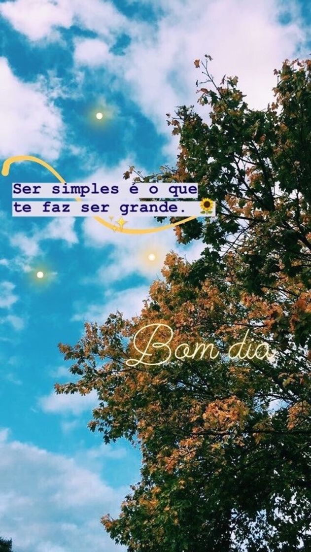 Social ser simples é o que te faz grande ✨