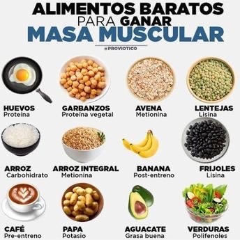 Moda Alimentos