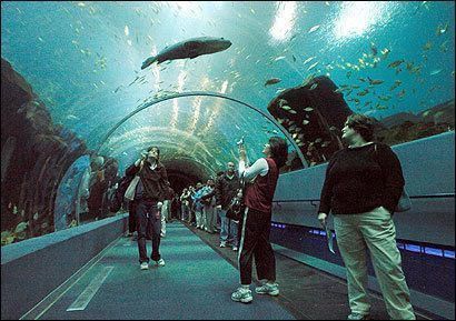 New England Aquarium