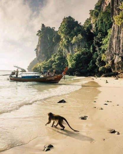 best things to do in Krabi, Thailand