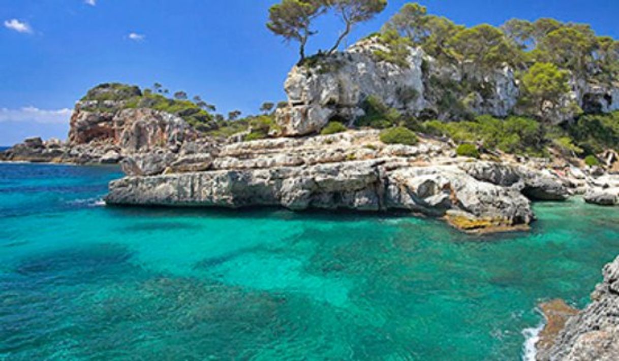 Place Cala s'Almunia