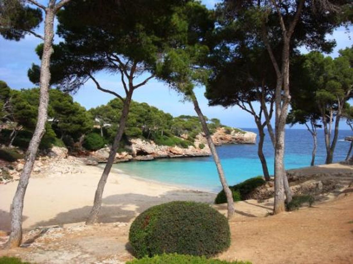 Place cala d'or beach