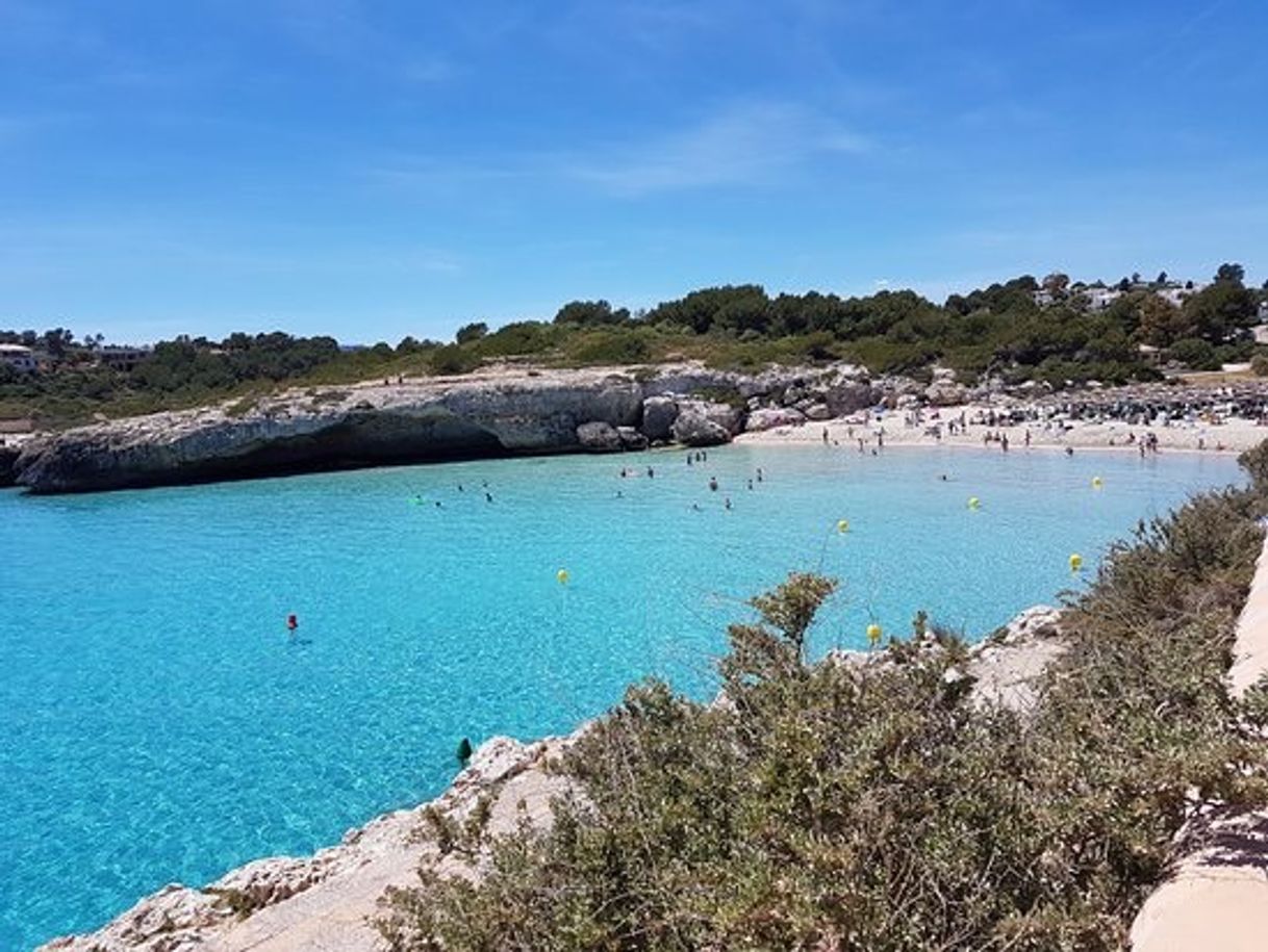 Place Cala Domingos