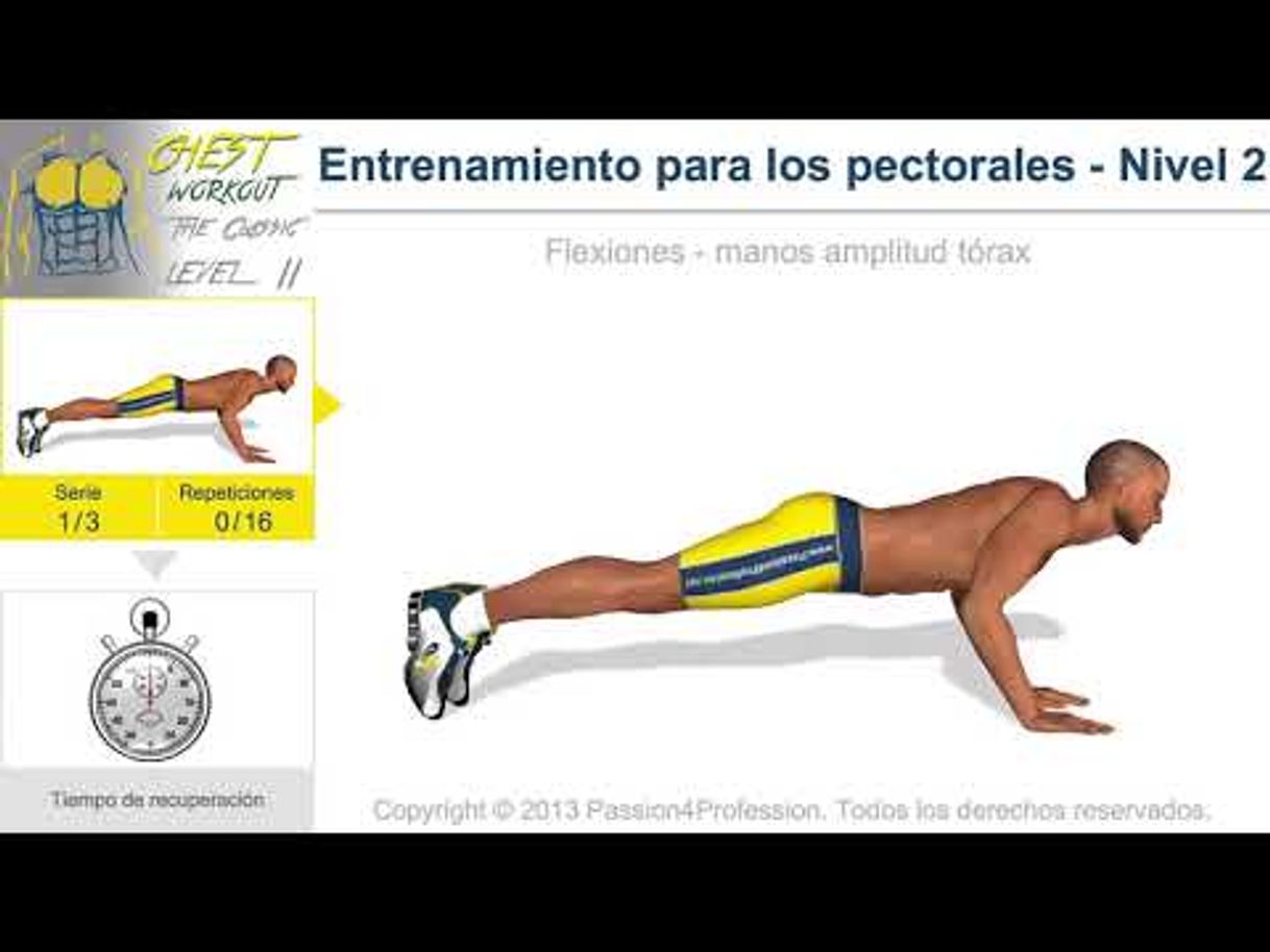 Fashion Entrenamiento pectorales Nivel 2 - YouTube