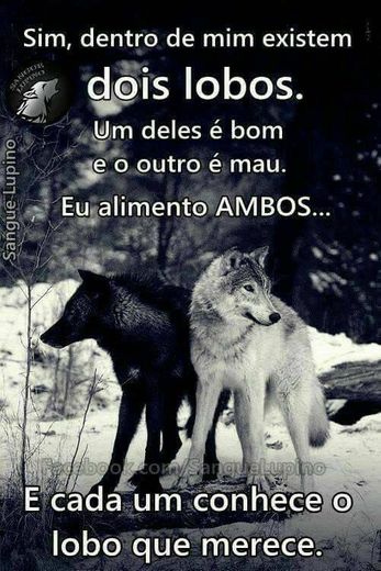 Lobos! 