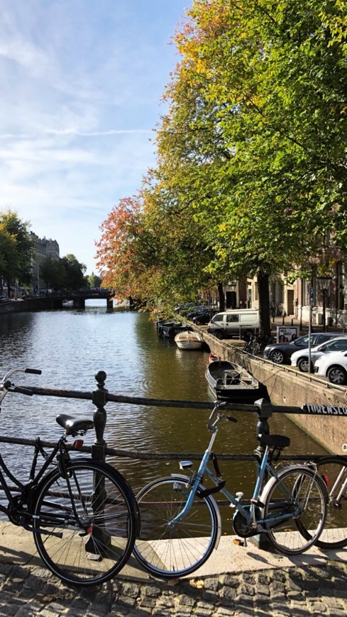 Place Canales de Ámsterdam