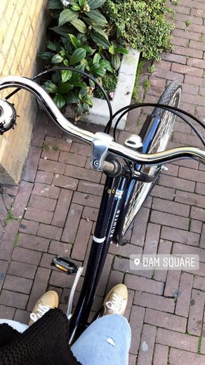 Amsterdam en Bicicleta