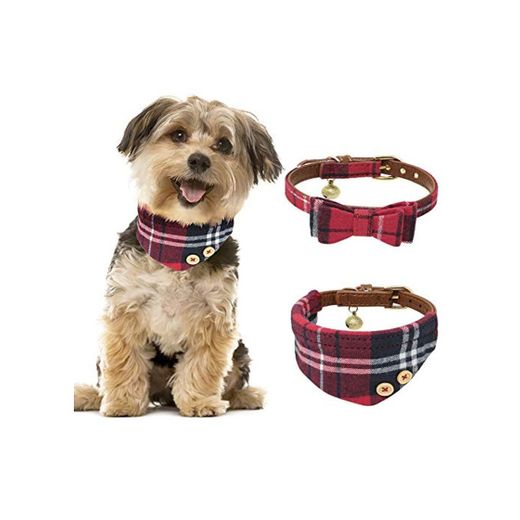 Tacobear 2 Pieza Collar Perro Pequeño Collares para Perros Cuero Collares para