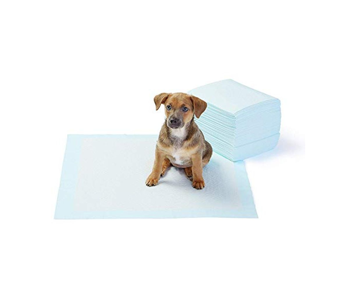 Social AmazonBasics - Toallitas de entrenamiento para mascotas