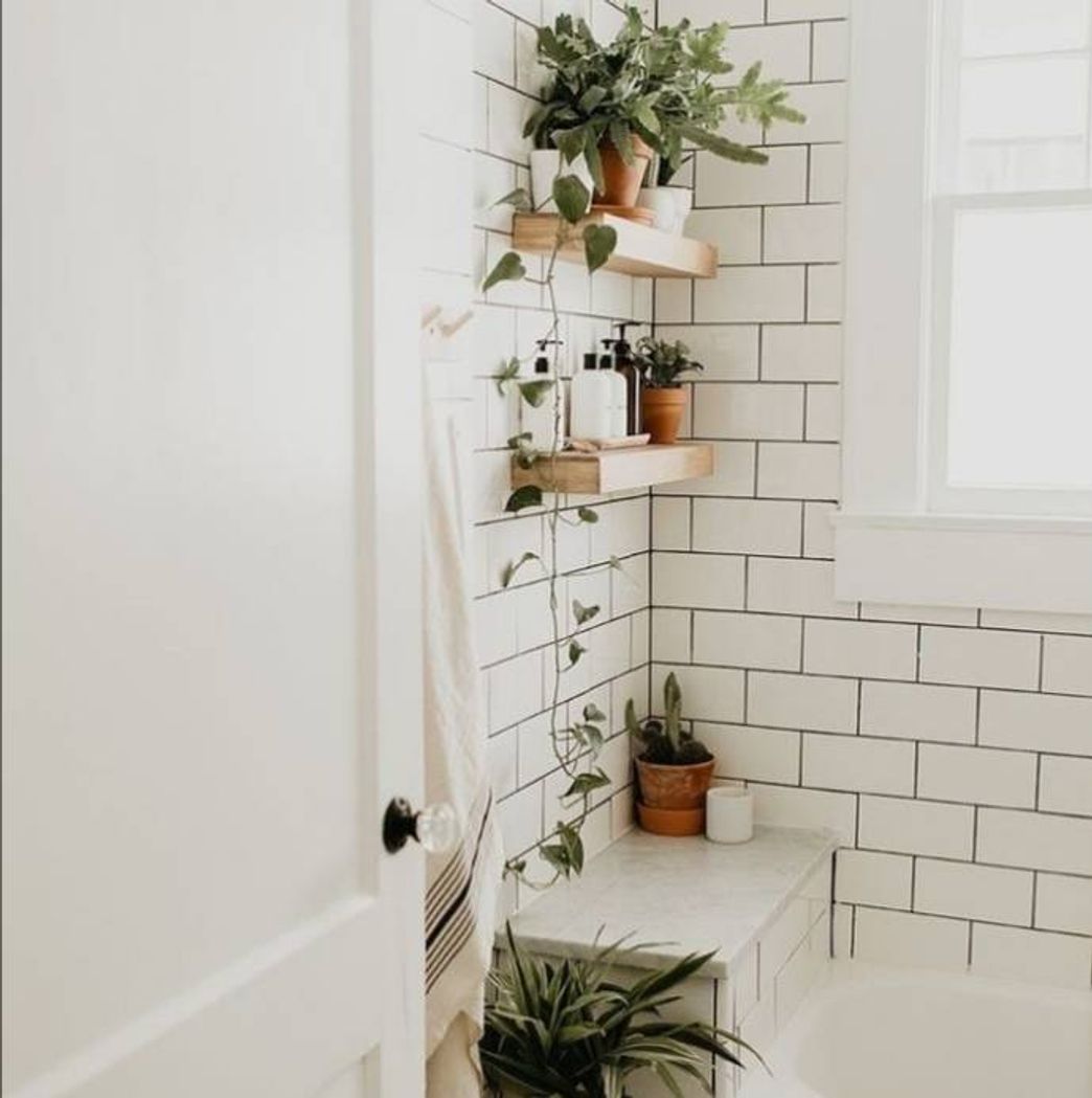 Plant decor🌿🌿