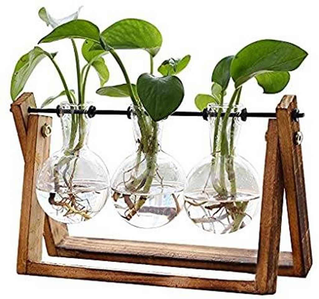 PlantTerrariumwithWoodenStand,AirPlanterBulbGlassVaseMetalSw