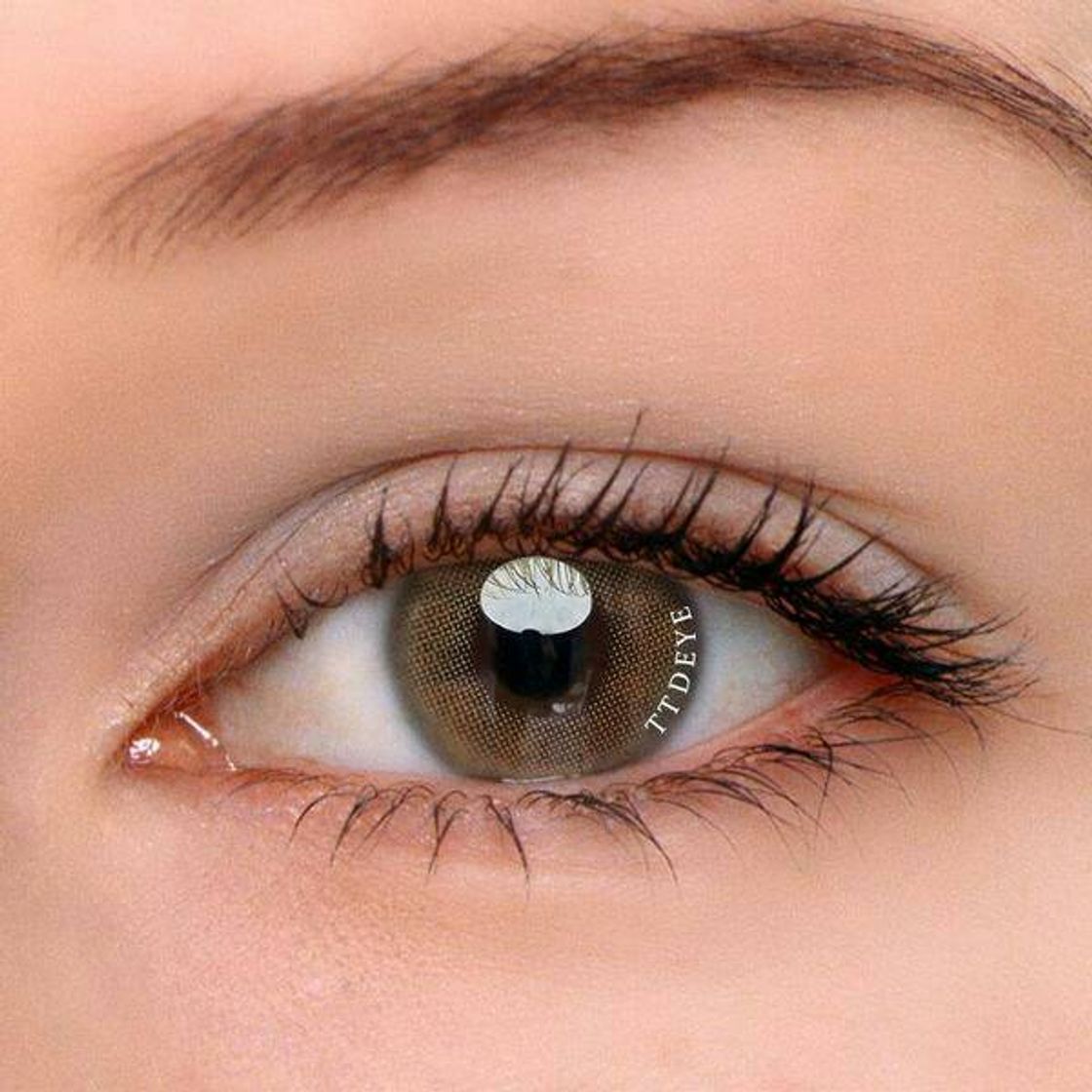 Fashion Polar Lights Brown Contact lenses  - ttdeye