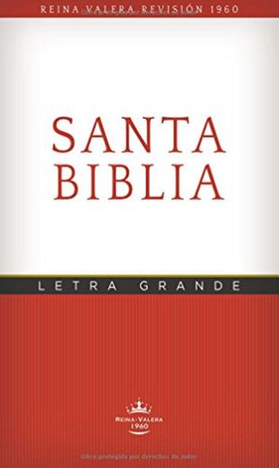 Rvr60 Santa Biblia -Edicion Economica Letra Grande