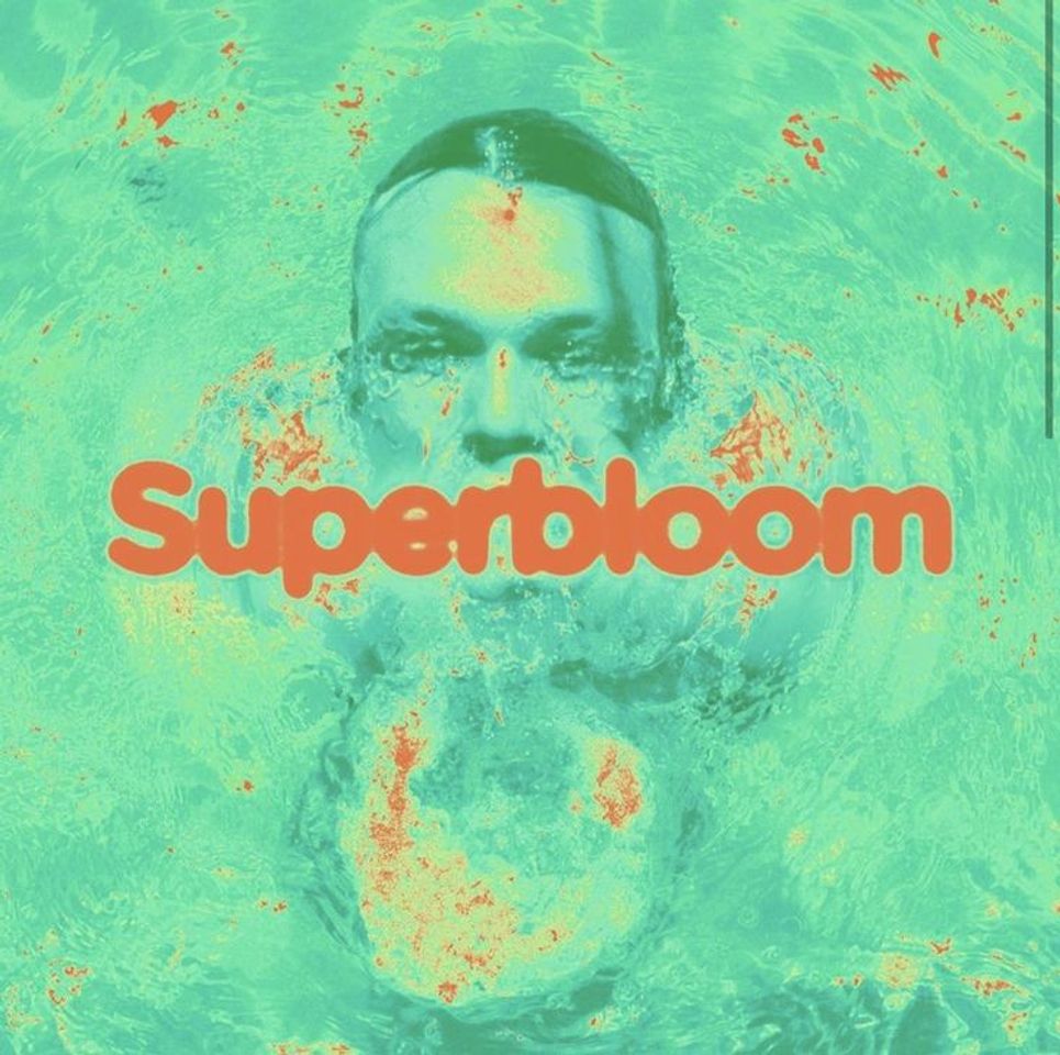 Canción Superbloom