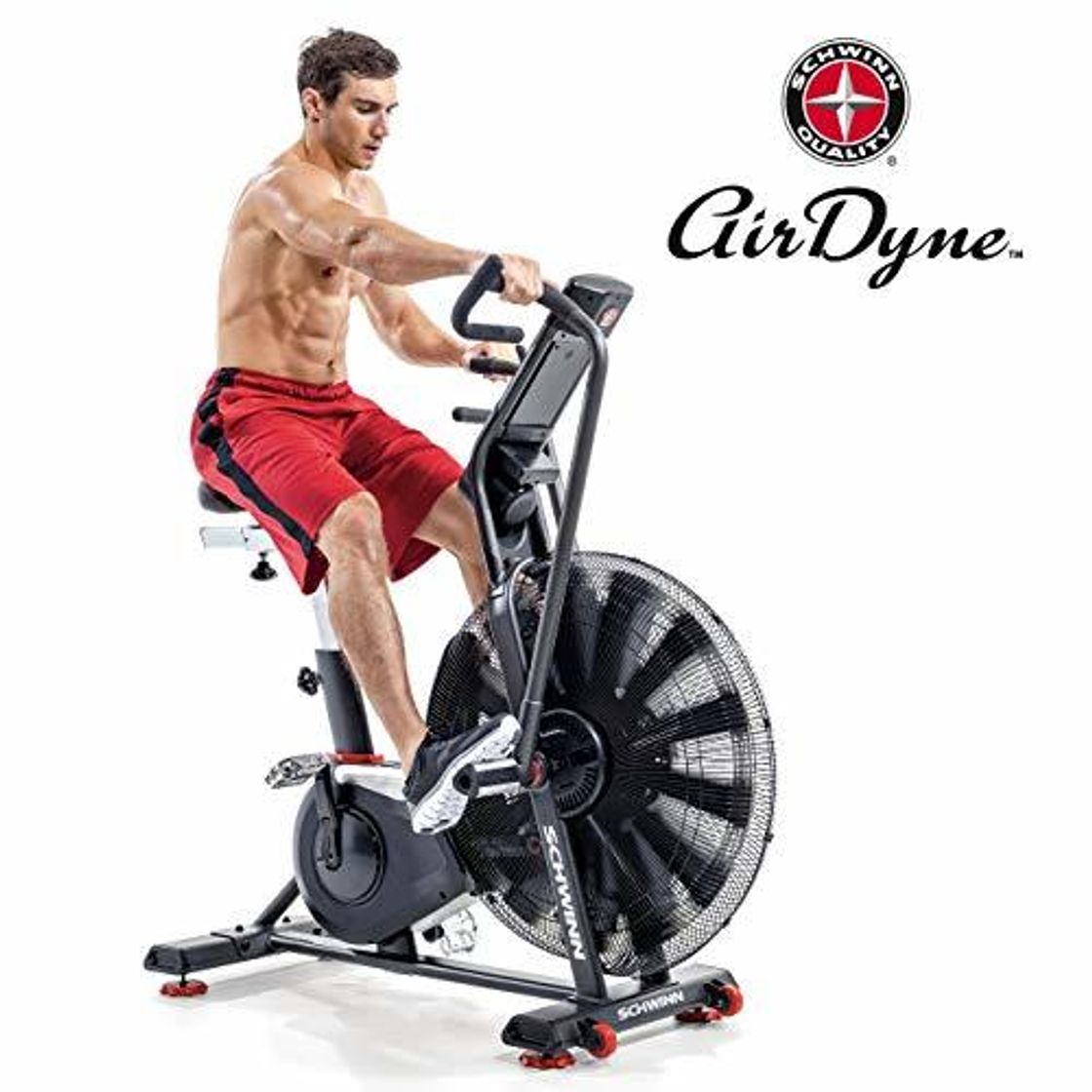 Places Schwinn - Bicicleta Estática y Spinning  Airdyne AD8-AIR Bike Pro-Cardio-Training