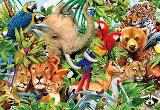 Mundo animais - 