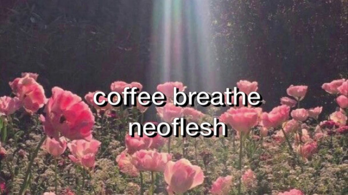 Canciones neoflesh - coffee breath (Subtítulada al español) ||Lyrics|| - YouTube