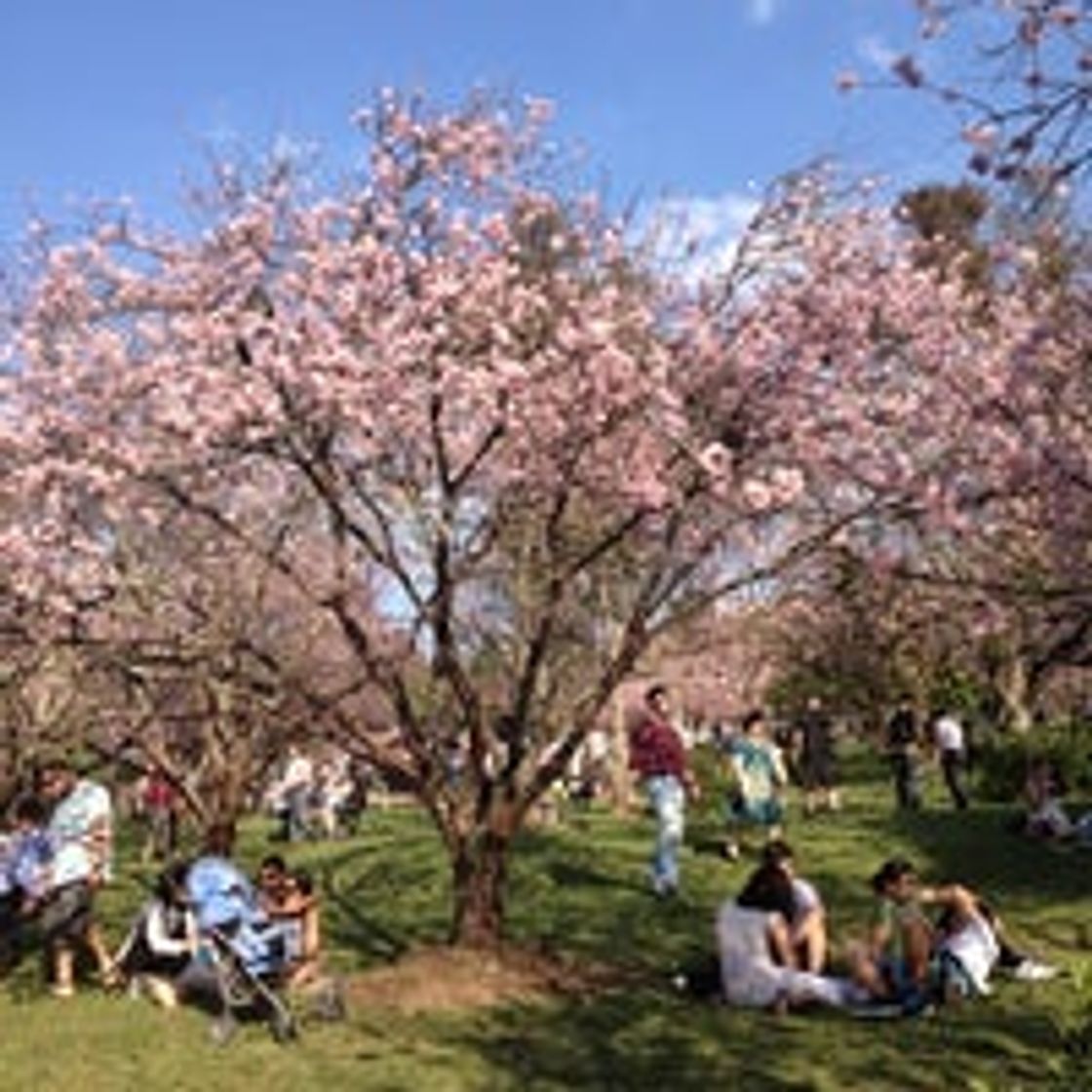 Lugar Parque do Carmo – Olavo Egydio Setúbal