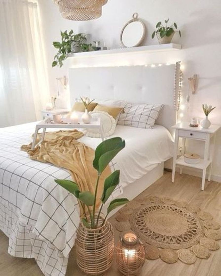 Social Quarto ✨