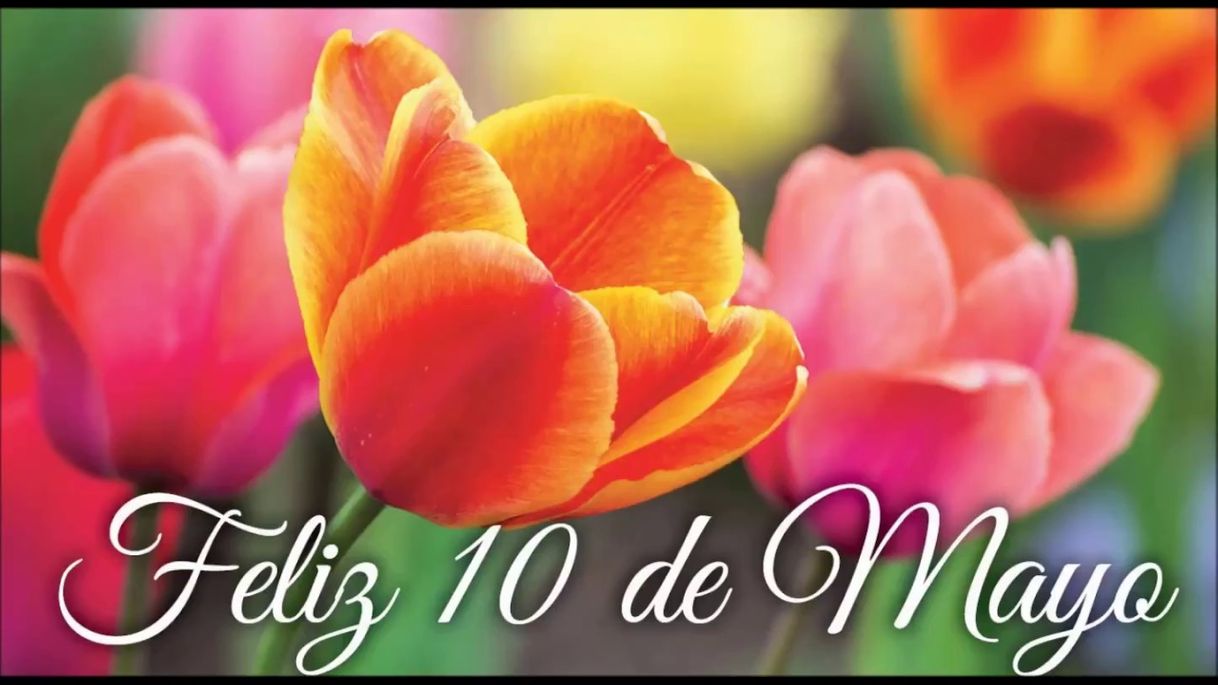 Moda FELIZ DIA DE LA MADRE 