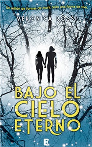 Book Bajo el cielo eterno